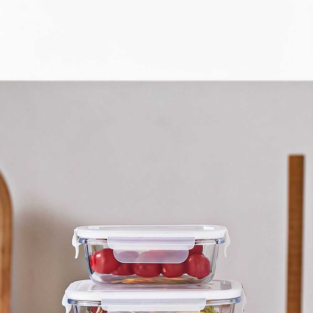 Microwave Safe Glass Bento Lun - Food Storage With Dividers review and price